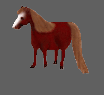 horse